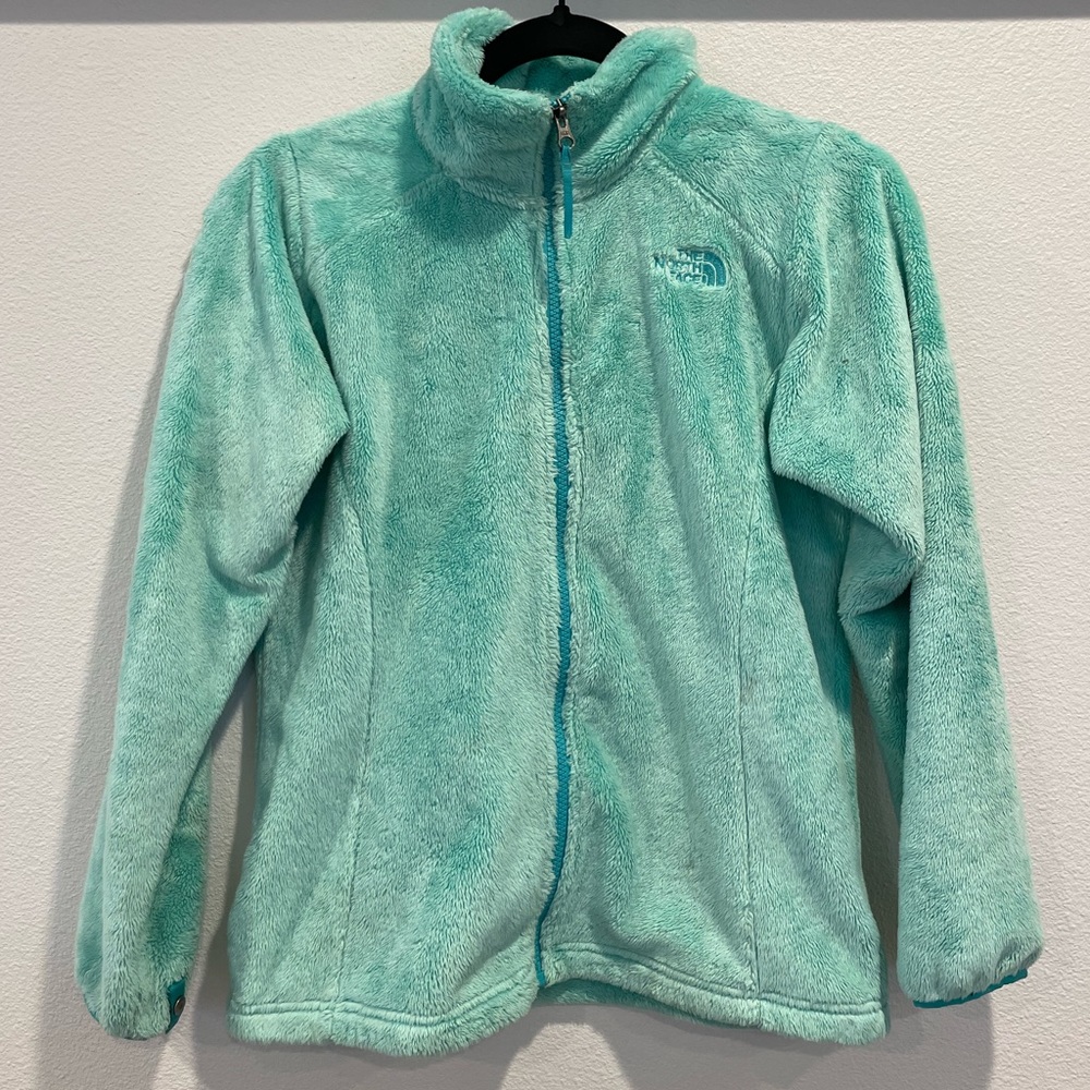 NORTH FACE blue fuzzy coat